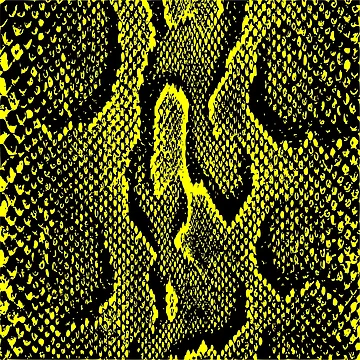Artwork thumbnail, Python Skin by DesignFantazia