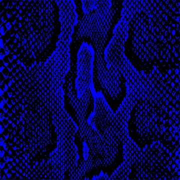Artwork thumbnail, Python Skin by DesignFantazia