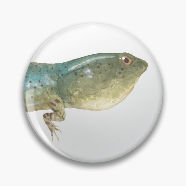 Item preview, American Bullfrog Tadpole designed and sold by Alexis Rodefer.