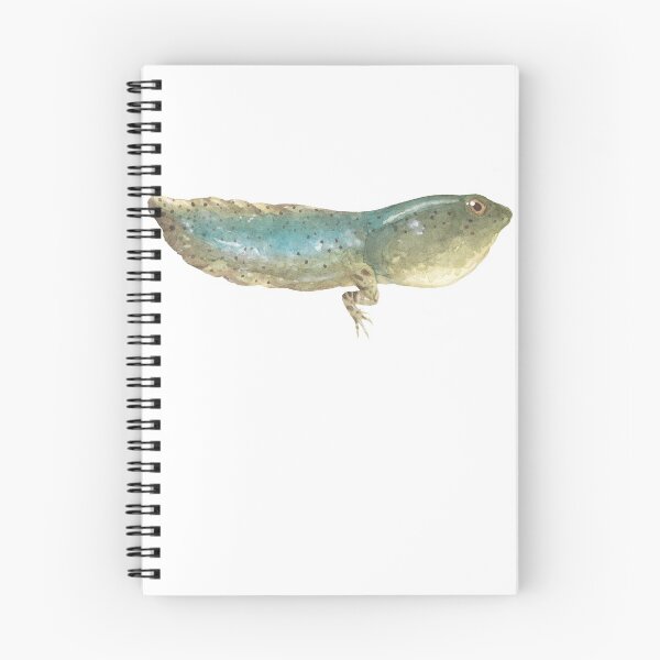 Item preview, American Bullfrog Tadpole designed and sold by Alexis Rodefer.