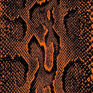 Artwork thumbnail, Python Skin by DesignFantazia