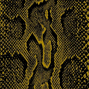 Artwork thumbnail, Python Skin by DesignFantazia