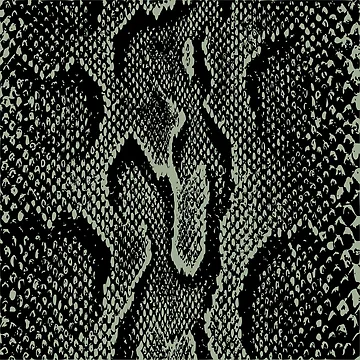 Artwork thumbnail, Python Skin by DesignFantazia
