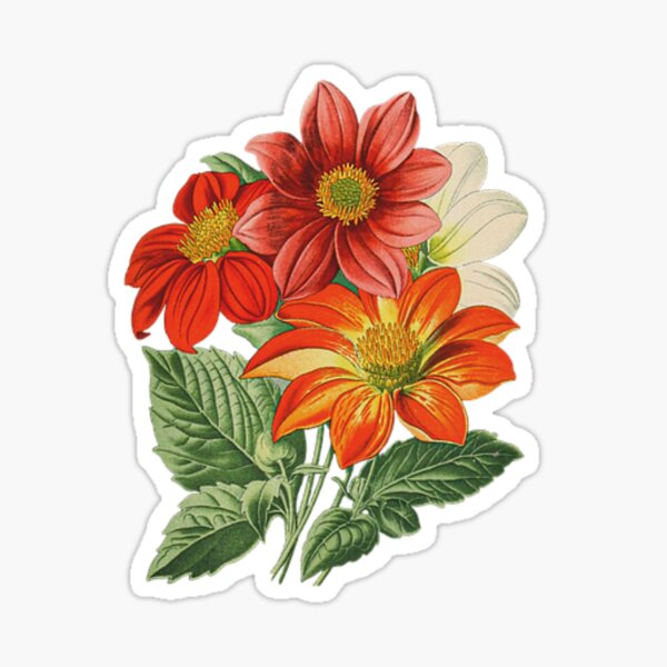 Item preview, Dahlia Bouquet In Red designed and sold by OByD.