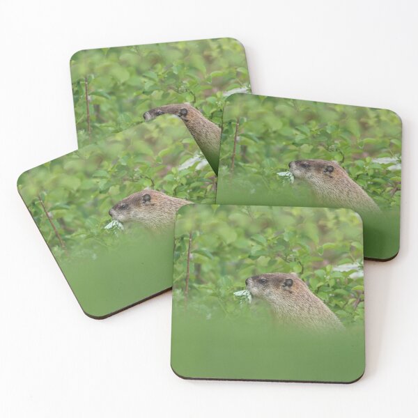 Item preview, Eat Your Greens designed and sold by LisaNaturePhoto.