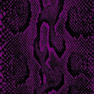 Artwork thumbnail, Python Skin by DesignFantazia
