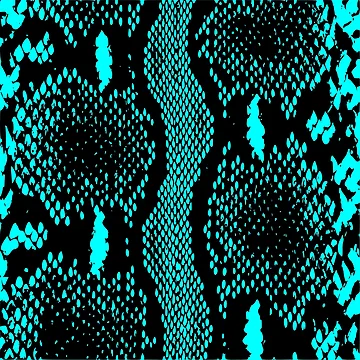 Artwork thumbnail, Python Skin by DesignFantazia