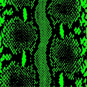 Artwork thumbnail, Python Skin by DesignFantazia
