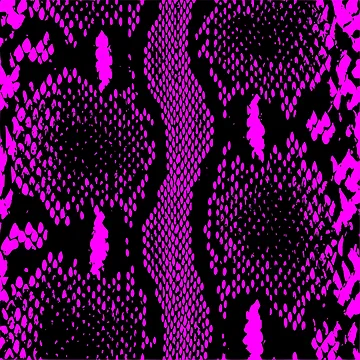 Artwork thumbnail, Python Skin by DesignFantazia