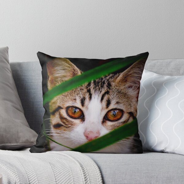 Item preview, Mauritian Tiger designed and sold by Lidia D'Opera Photographer.