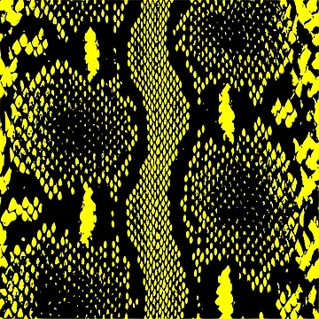 Artwork thumbnail, Python Skin by DesignFantazia