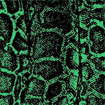 Artwork thumbnail, Python Skin by DesignFantazia