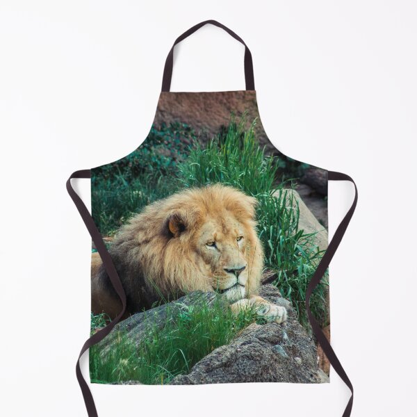 Item preview, Lion Resting in the Shade designed and sold by Michael Deemer.