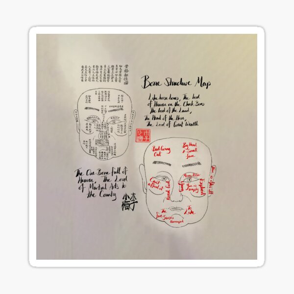 Chinese Physiognomy Bone Features Map Fortune Telling Sticker