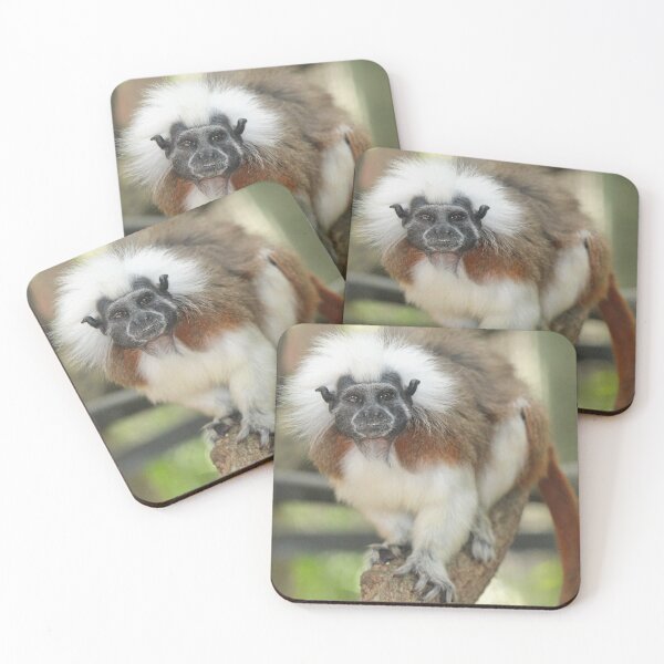 Item preview, Cotton Top Tamarin designed and sold by croper.