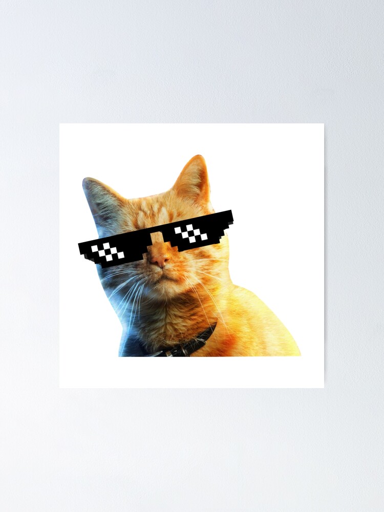 Chat drôle portant des lunettes de soleil Poster