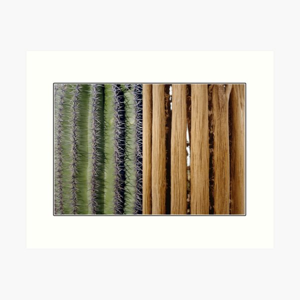 cactus white 25 Art Print