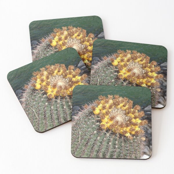Item preview, Cactus by the Water designed and sold by GardenArtworks.