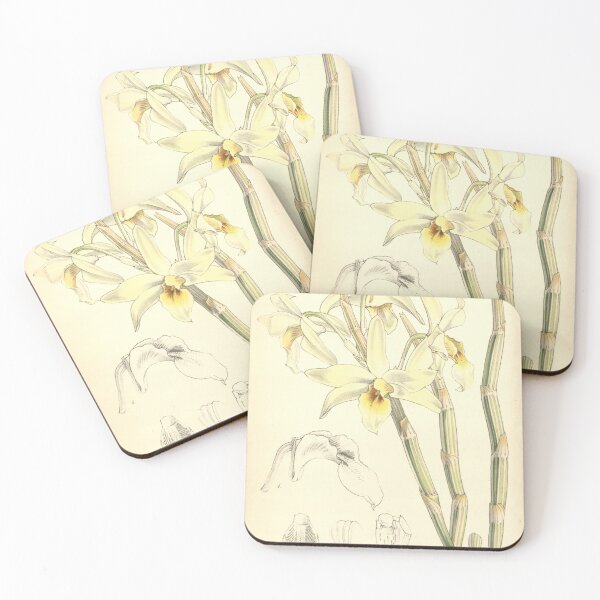 Item preview, Dendrobium heterocarpum designed and sold by EsotericBotanic.