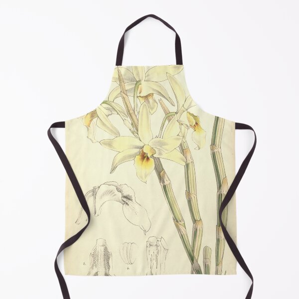 Item preview, Dendrobium heterocarpum designed and sold by EsotericBotanic.