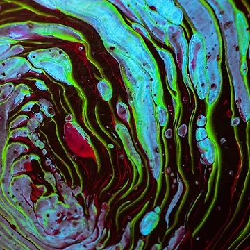 Artwork thumbnail, Neon Chameleon by RewskiPhotos