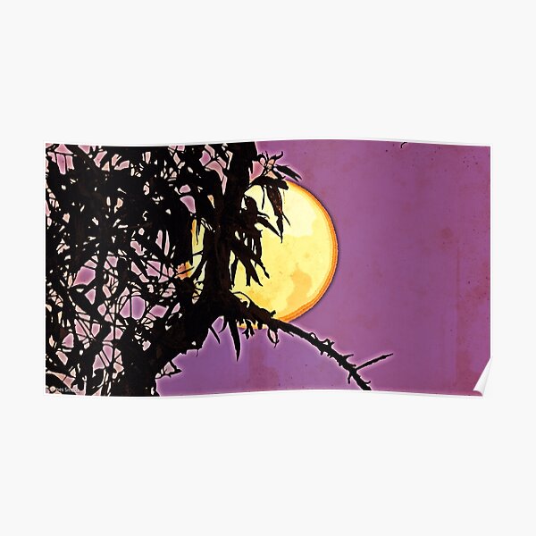 Sun and moon Poster