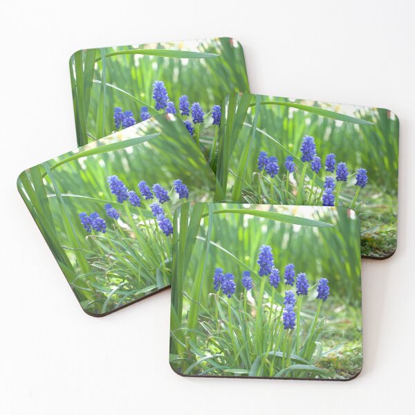 Item preview, Grape Hyacinths  designed and sold by Alisonchambers2.