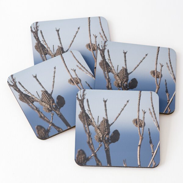 Item preview, Sculptural Twigs designed and sold by smh2.