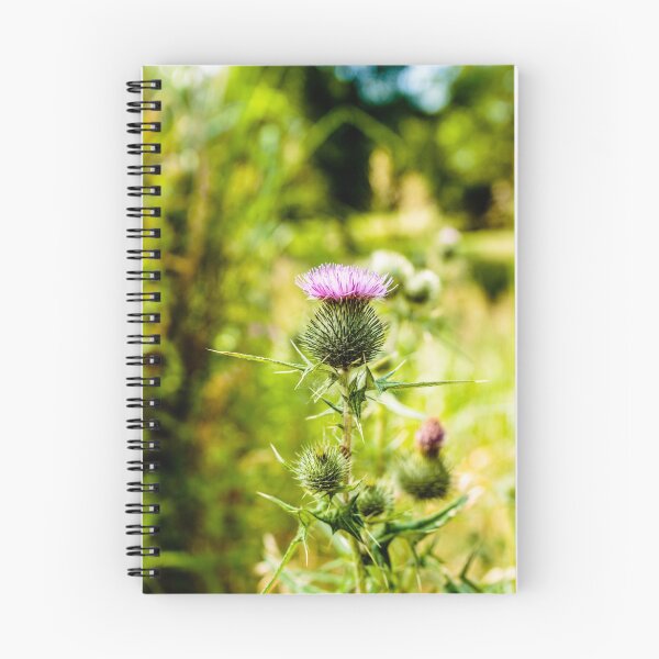 Item preview, Thistle designed and sold by stay-focussed.