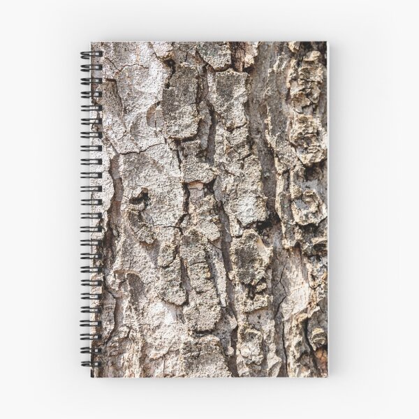 Item preview, Tree bark Texture designed and sold by stay-focussed.