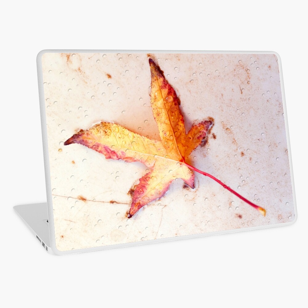 Item preview, Laptop Skin designed and sold by etourist.