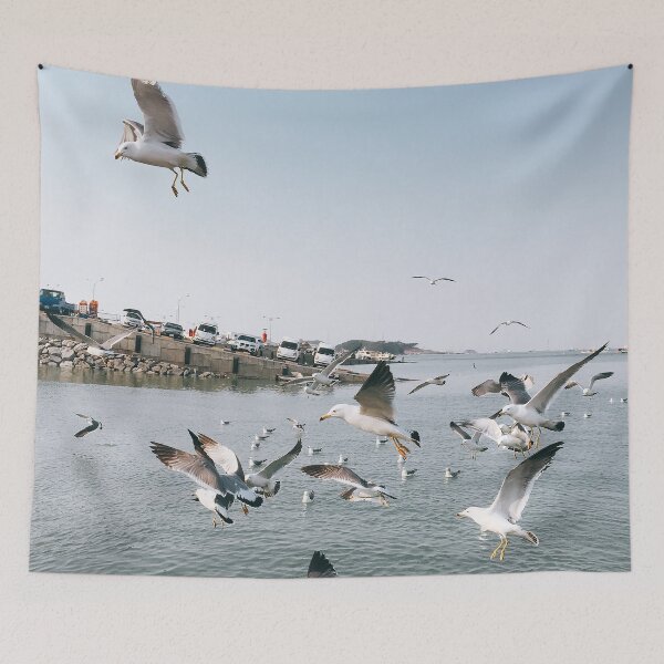 Item preview, dynamic gull on the wing designed and sold by CURIOUsDADA.