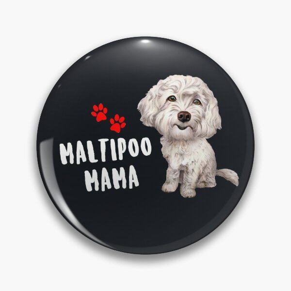 Pin on Maltipoo dog