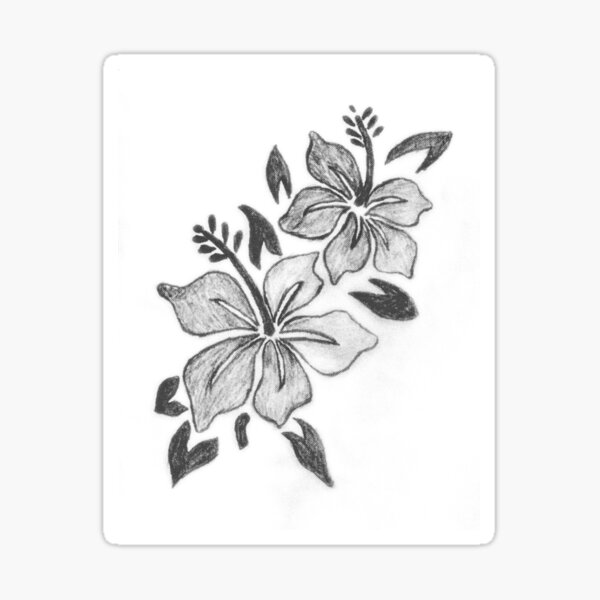 Flower Sketch Sticker