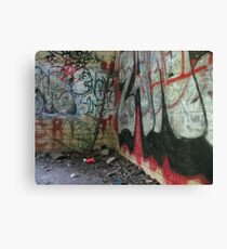 Hidden Places Canvas Print