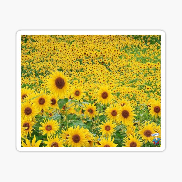 Item preview, Sunflower designed and sold by Vector11.