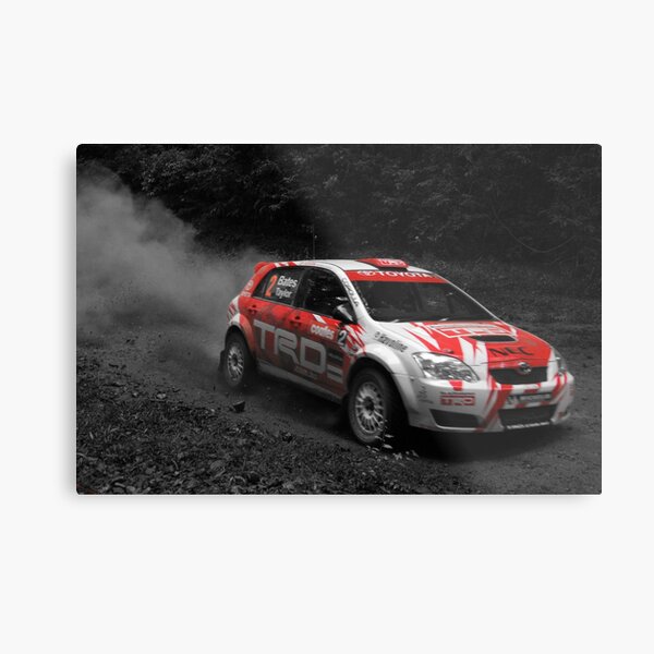 Forest Rally Metal Print