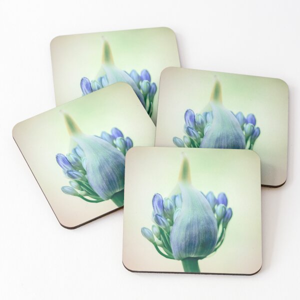 Item preview, Budding Agapanthus Flower designed and sold by Catherine Reading.