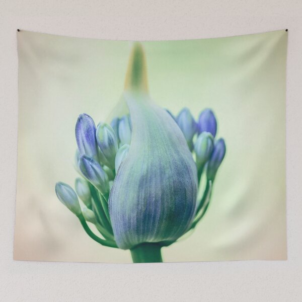 Item preview, Budding Agapanthus Flower designed and sold by Catherine Reading.