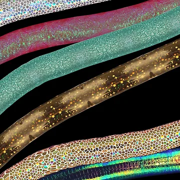 Artwork thumbnail, Glitter Ropes Abstract by IdrisRose
