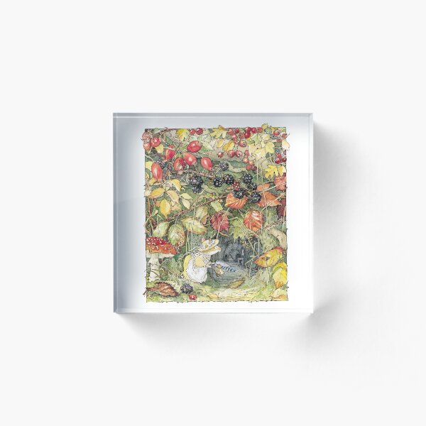 Primrose at the entrance to the tunnels Acrylic Block
