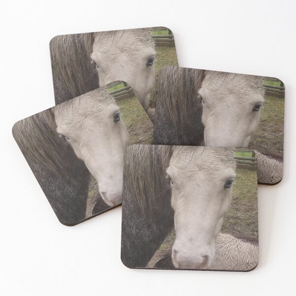 Item preview, Frazer designed and sold by AvonRiding.