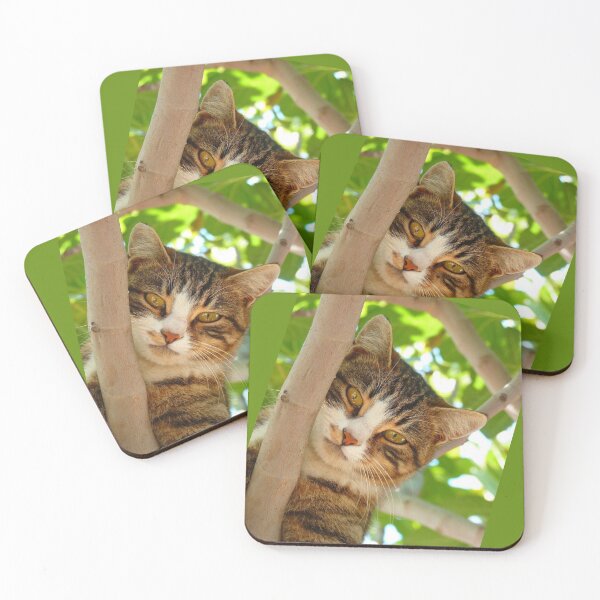 Item preview, Forest Cat on tree designed and sold by 365DaysDesire.