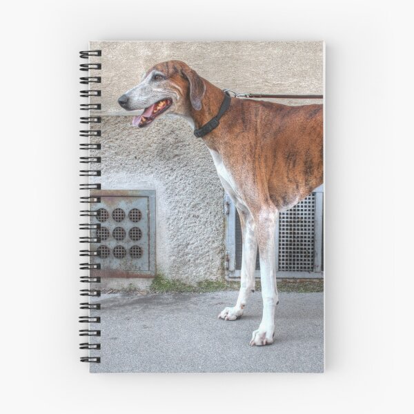 Aperçu de l'œuvre Brindle Greyhound créée et vendue par Mythos57.