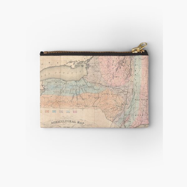 Item preview, Vintage Agricultural Map of New York (1846) designed and sold by BravuraMedia.