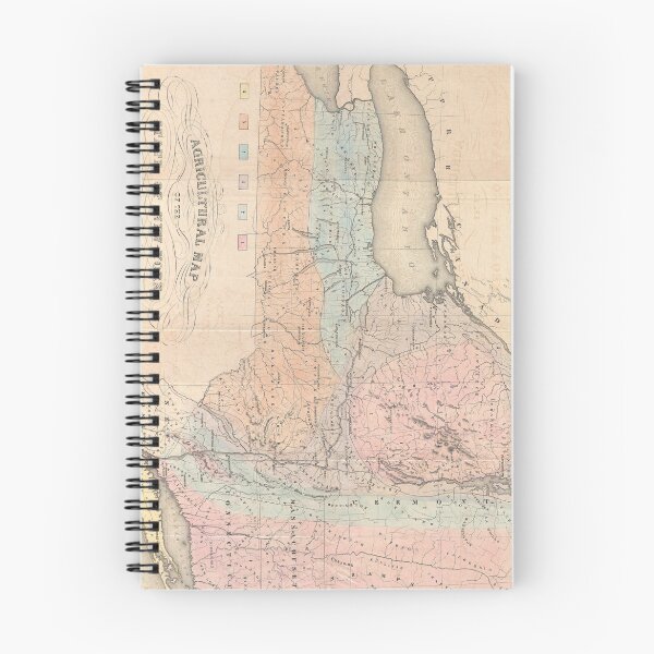 Item preview, Vintage Agricultural Map of New York (1846) designed and sold by BravuraMedia.