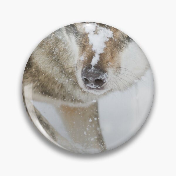 Item preview, Wolf in the snow designed and sold by Ingo Gerlach.