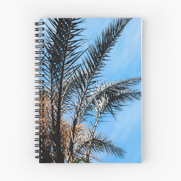 Item preview, Palm tree fronds photography  designed and sold by wiwiart.