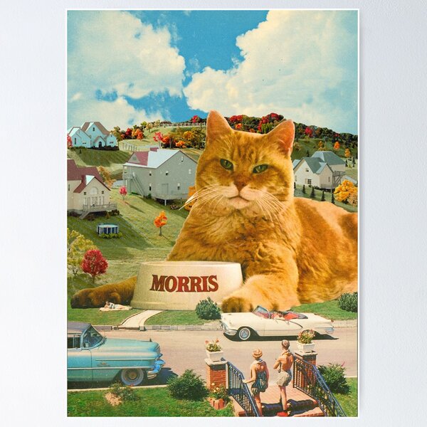 Artikel-Vorschau von Morris die Katze, designt und verkauft von brokenchina.