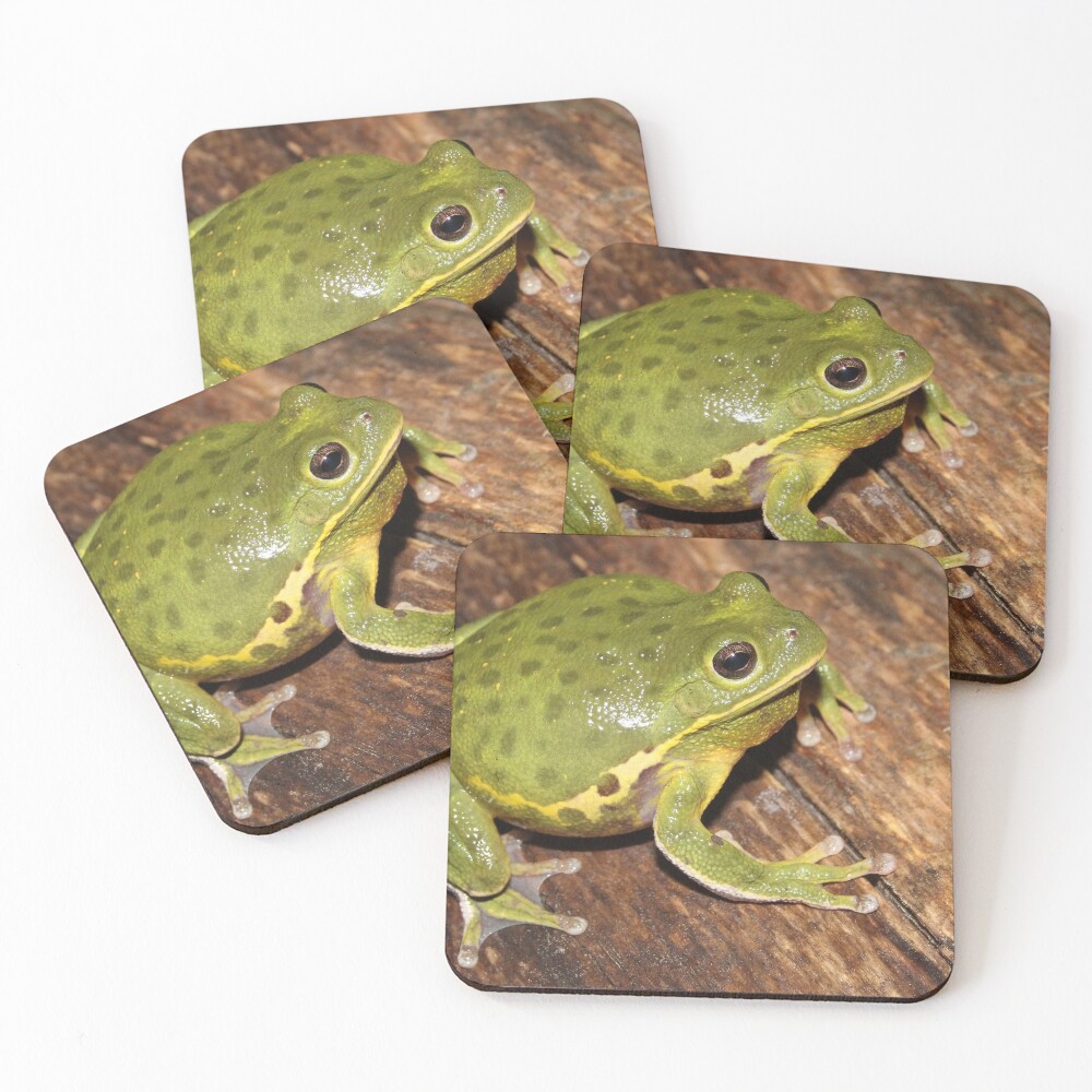 Item preview, Coasters (Set of 4) designed and sold by Snakemantysmith.